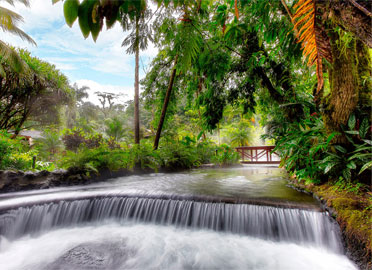 Tabacon Grand Spa Resort