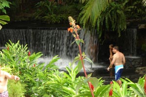 Thermal waters