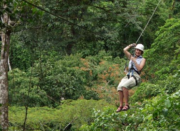 Canopy or Zip lining Tour