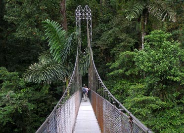 Hanging bridges tour
